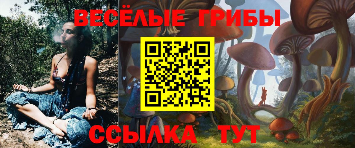 Галлюциногенные грибы MAGIC MUSHROOMS  купить наркотик  Ленинск-Кузнецкий  Вход с VPN 